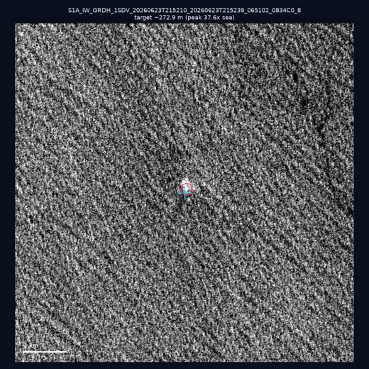 SAR chip 24.01, 121.88