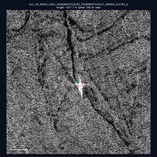 SAR chip 23.12, 119.74