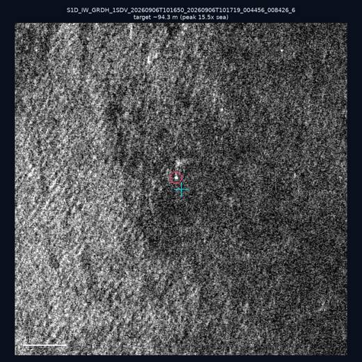 SAR chip 23.04, 118.11