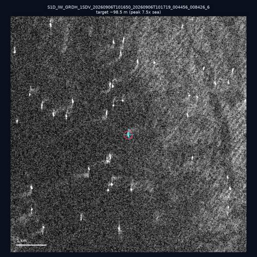 SAR chip 23.29, 118.28