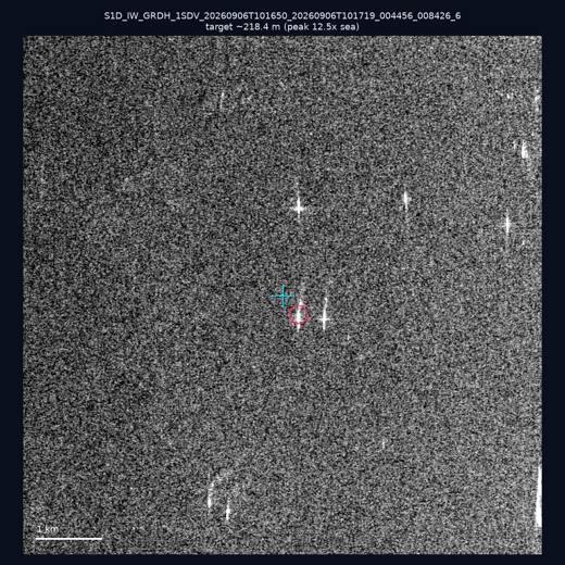 SAR chip 23.4, 118.38