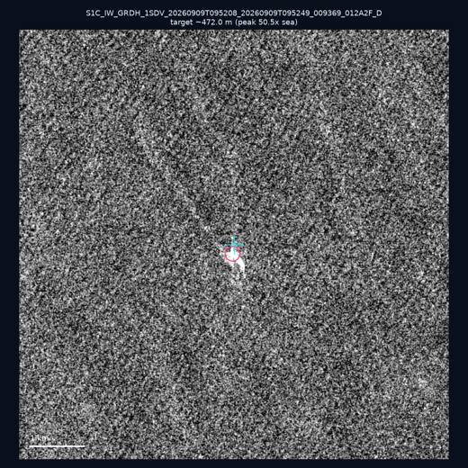 SAR chip 24.06, 123.05