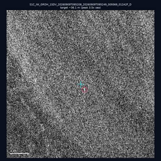 SAR chip 24.29, 124.19