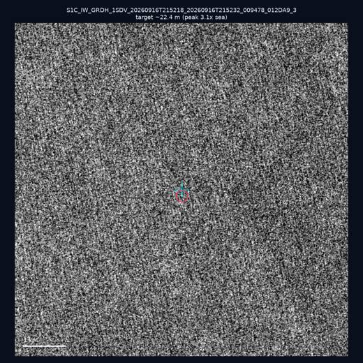 SAR chip 21.87, 119.68