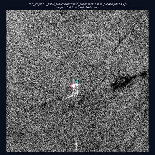 SAR chip 22.19, 120.32