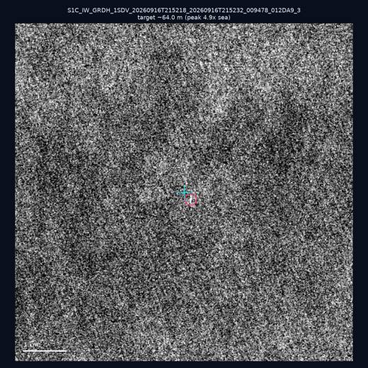 SAR chip 22.24, 119.84