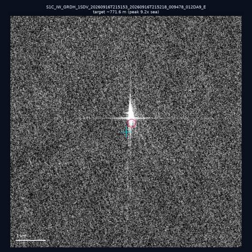 SAR chip 22.61, 119.51