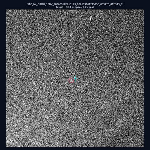 SAR chip 24.76, 121.89