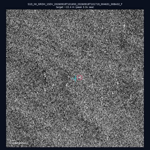 SAR chip 23.38, 118.19