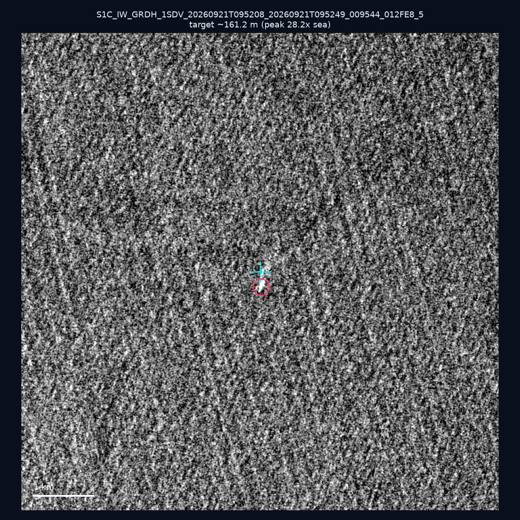 SAR chip 25.32, 121.9