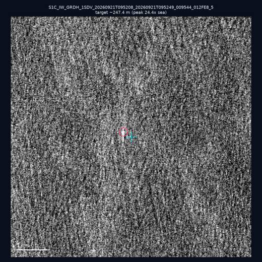 SAR chip 25.33, 123.66