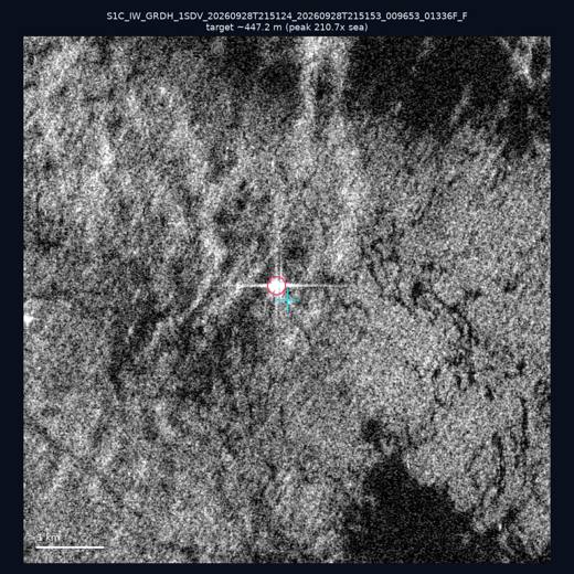 SAR chip 25.26, 121.81