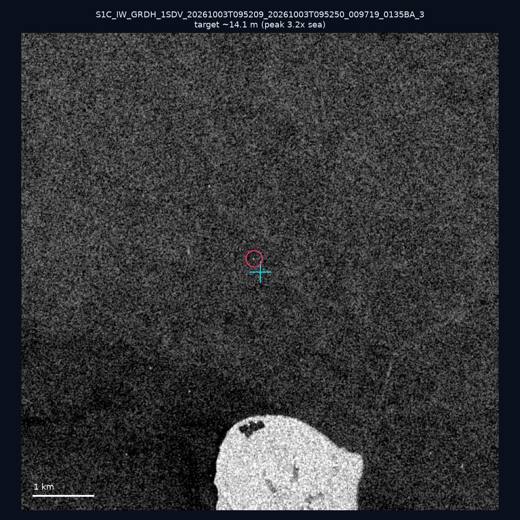 SAR chip 24.29, 124.09