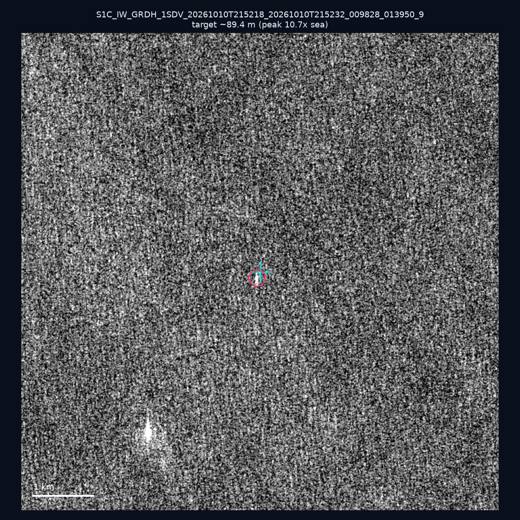 SAR chip 21.8, 119.36