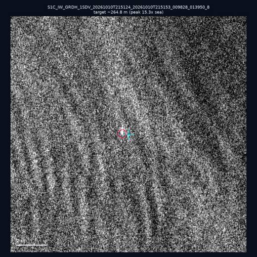 SAR chip 24.87, 122.2